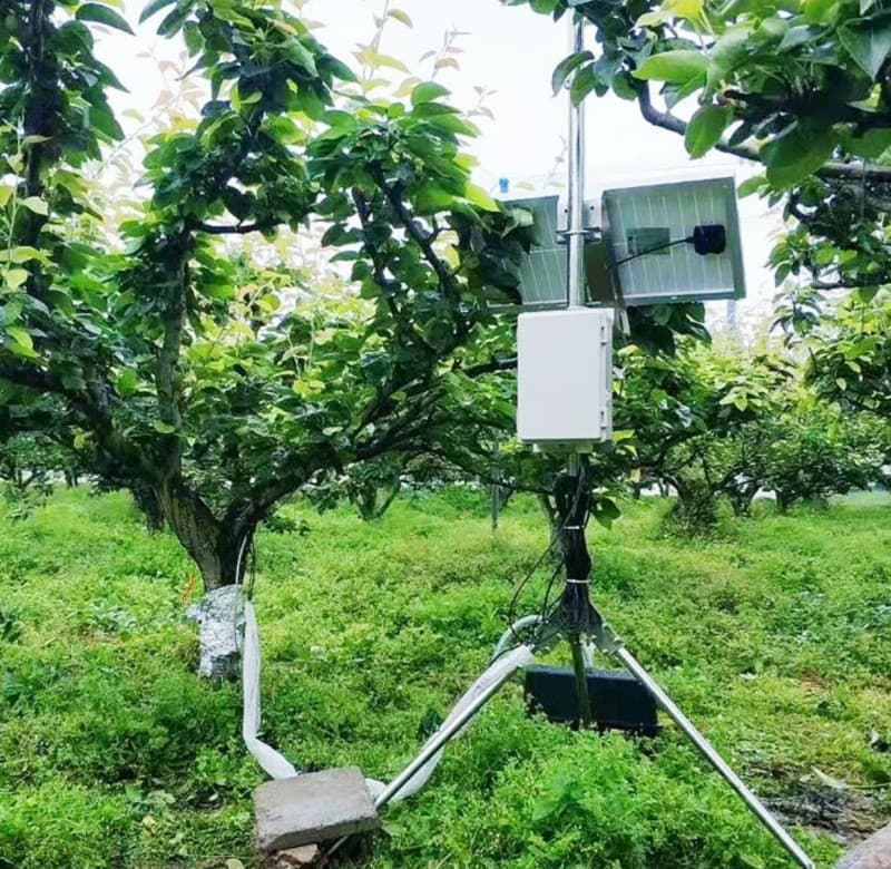 树干生长自动监测系统解决方案