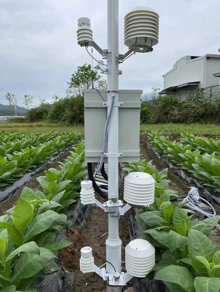 植物生长梯度监测系统