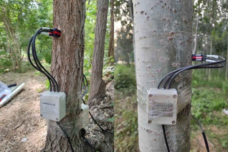 森林生态环境综合监测系统解决方案
