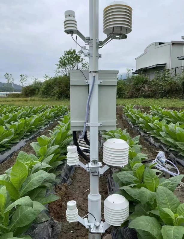 植被光谱自动监测系统解决方案