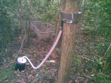 树干截流测量系统