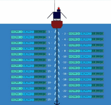 温度链水温自动监测系统